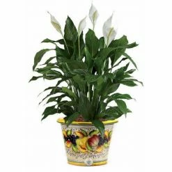 Artistica - Deruta Of Italy Frutta: Round Cachepot (Large) Decorative Accents -Artistica - Deruta of Italy Shop unnamed file 1005