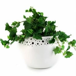 Artistica - Deruta Of Italy Purity: Cachepot Planter Plants & Planters White -Artistica - Deruta of Italy Shop unnamed file 1053