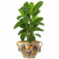 Artistica - Deruta Of Italy Frutta: Large Tuscan Cachepot Aq Di Malva (Malva Water) Plants & Planters -Artistica - Deruta of Italy Shop unnamed file 1536