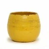 Artistica - Deruta Of Italy Scavo Giardini Garden: Round 'rullato'' Cachepot/Planter Small Tuscan Plants & Planters Yellow -Artistica - Deruta of Italy Shop unnamed file 1682