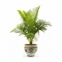 Artistica - Deruta Of Italy Ricco Deruta: Luxury Cachepot Planter Med Decorative Accents -Artistica - Deruta of Italy Shop unnamed file 981