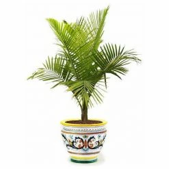 Artistica - Deruta Of Italy Ricco Deruta: Luxury Cachepot Planter Large Decorative Accents 8 Artistica - Deruta Of Italy Ricco Deruta: Luxury Cachepot Planter Large Decorative Accents -Artistica - Deruta of Italy Shop unnamed file 989