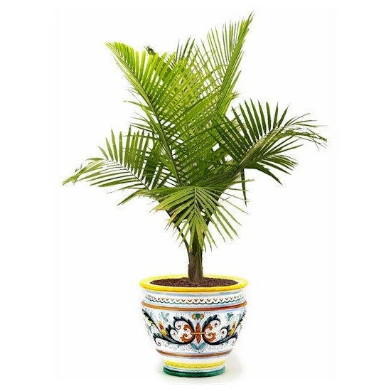 Artistica - Deruta Of Italy Ricco Deruta: Luxury Cachepot Planter Large Decorative Accents 5 Artistica - Deruta Of Italy Ricco Deruta: Luxury Cachepot Planter Large Decorative Accents - Image 3