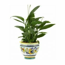 Artistica - Deruta Of Italy Raffaellesco: Luxury Cachepot Planter Large Plants & Planters -Artistica - Deruta of Italy Shop unnamed file 994